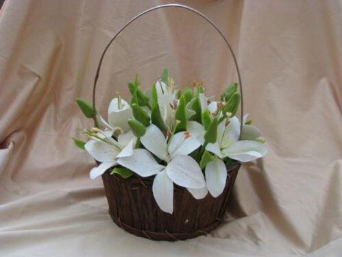 Лилианна Лилианна