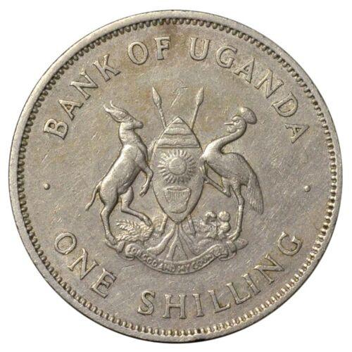 1 шилінг 1966 року. Уганда VF 1 шилінг 1966 року. Уганда VF