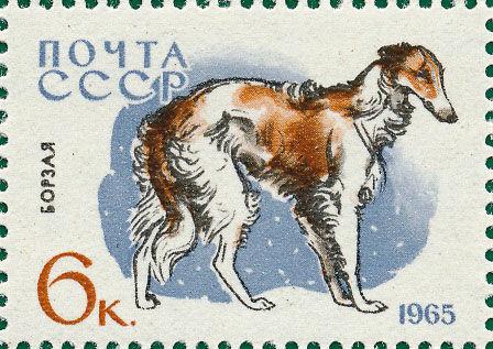 Марка «Хорт» 1965 рік СРСР №3079