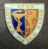 Нагрудний знак «Аптека-музей Львів» 1735, УРСР купити на monitex.com.ua - 0 Нагрудний знак «Аптека-музей Львів» 1735, УРСР