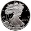 1 доллар (dollar) 2004 года. W, Шагающая Свобода, США Proof купить на monitex.com.ua - 0 1 доллар (dollar) 2004 года. W, Шагающая Свобода, США Proof