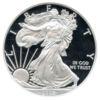 1 доллар (dollar) 2008 года. W, Шагающая Свобода, США Proof купить на monitex.com.ua - 0 1 доллар (dollar) 2008 года. W, Шагающая Свобода, США Proof