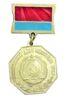 Нагрудний знак «Заслужений діяч мистецтв УРСР» (позолота) купити на monitex.com.ua - 0 Нагрудний знак «Заслужений діяч мистецтв УРСР» (позолота)