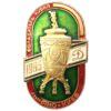 Нагрудний знак Динамо-Київ Володар кубка 1985 купити на monitex.com.ua - 0 Нагрудний знак Динамо-Київ Володар кубка 1985