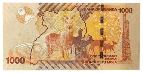 Банкнота 1000 шилінгів 2010 року, Уганда, UNC Банкнота 1000 шилінгів 2010 року, Уганда, UNC