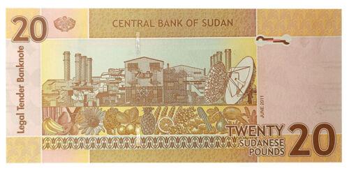 Банкнота 20 фунтів 2011 року, Судан, UNC Банкнота 20 фунтів 2011 року, Судан, UNC