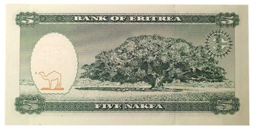 Банкнота 5 накф 1997 року, Еритрея, UNC Банкнота 5 накф 1997 року, Еритрея, UNC