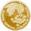 2 гривні 2010 рік Калина червона купить на monitex.com.ua - 0 2 гривні 2010 рік Калина червона