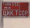 Нагрудний знак «Член ЦВК Туркменської РСР» . 20 - е-30-е рр. Тип 4 купити на monitex.com.ua - 0 Нагрудний знак «Член ЦВК Туркменської РСР» . 20 - е-30-е рр. Тип 4