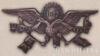 Жетон «знак)» Народна армія вільної Росії «. 1917 р. купити на monitex.com.ua - 0 Жетон «знак)» Народна армія вільної Росії «. 1917 р.