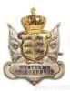 Нагрудний знак ветерана німецької військової Ліги Королівства Вюртемберг, Німеччина купити на monitex.com.ua - 0 Нагрудний знак ветерана німецької військової Ліги Королівства Вюртемберг, Німеччина